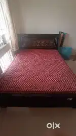 Cot and Mattress FOR SALE