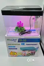 Fish aquarium bluepet brand