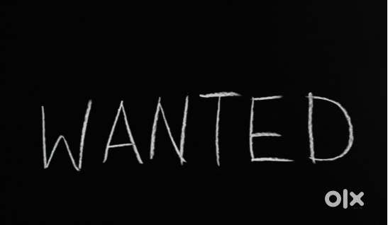 Wanted Telecalling Executive for an Auditing Consultancy