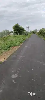 Dtcp approved plots