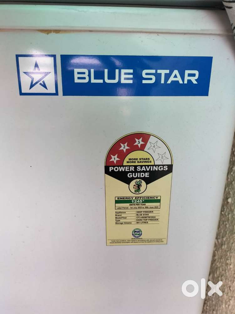 Freezer Blue Star 391 Liters Deep hard top Freezer