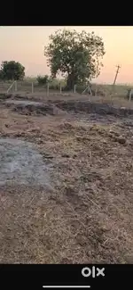 21.25 Cent Land sale in Pedamadduru Village