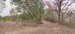 5000 Sqft open Plot Land For Rent At wakad Near Sayaji Hotel