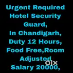 5 Star Hotel Security Guard Job Chandigarh 62