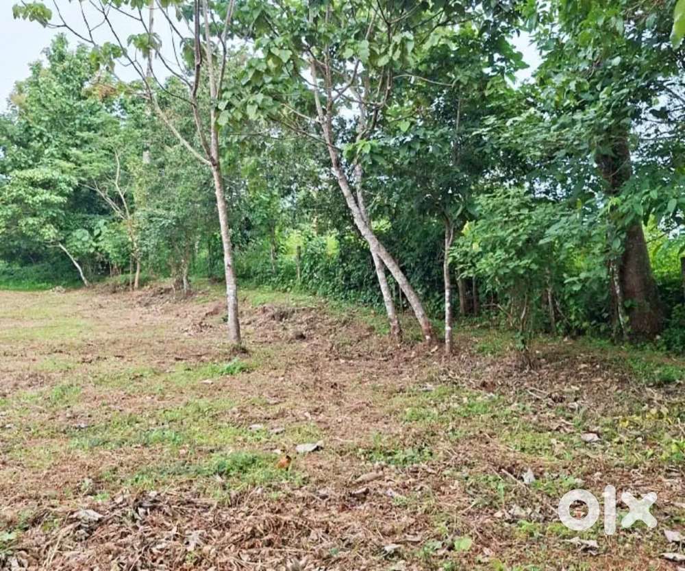House Plot For Sale In Koottanad