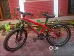 SCHNELL DX KOOPA 001 SINGLE SPEED MTB