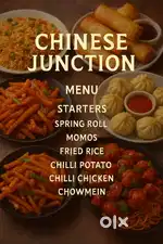 Need Chinese Food Maker