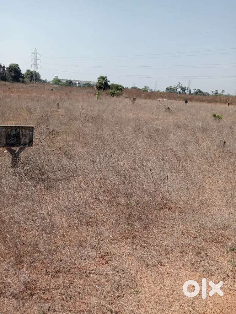 Site for sall (KOTOAPADU)  Raci in fara