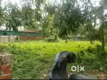 8 CENT ORGINAL LAND IN PARAVUR VAZHIKULANGARA N-H 66  JUST 200 MTR