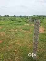 Open land for sale ramdaspally avn collage