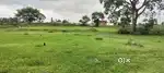 Apke Sapno ka Ghar Sirf Ek Kadam Dur