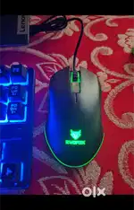 Evo Fox gaming keyboard and mouse