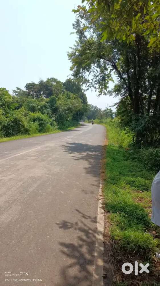 आदिवासी लैंड, सिंगल ओनर