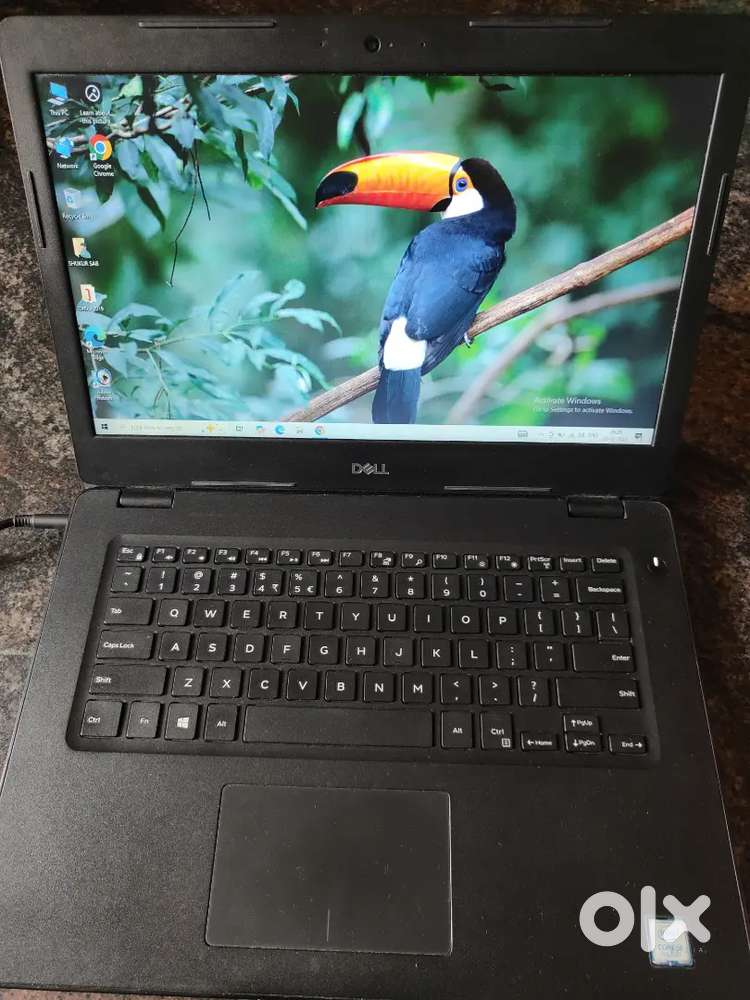 Dell latitude 3490 8Gb ram 500 HDD