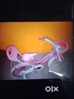 Small bicycle