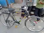 Avon cycle