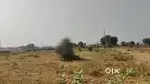 650 square yard, JDA, West, Residential plot for sale at Jagatpura