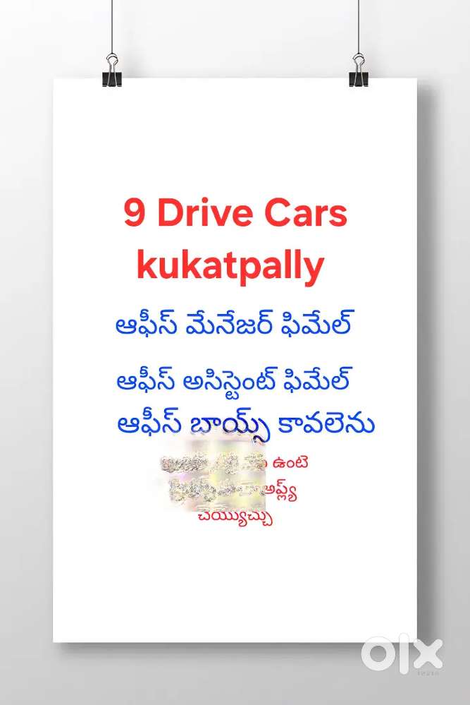 Office Staff Manager and Office Boys