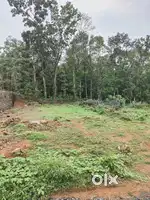 13.5 cent plot for sale near to main road