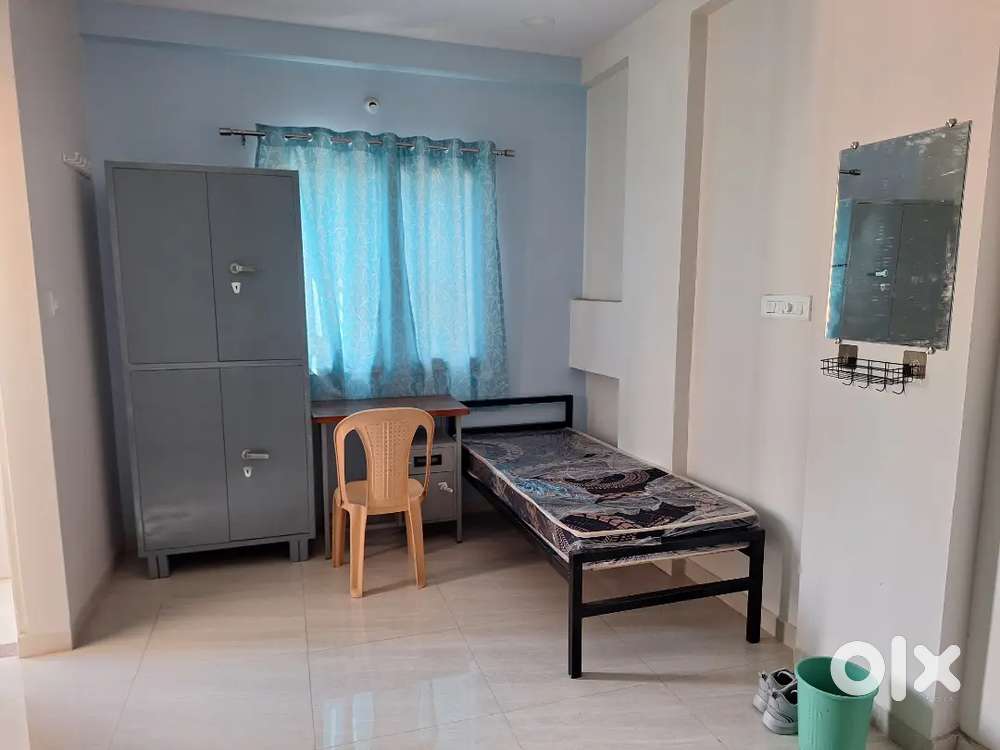 Bachelor / Working professionals