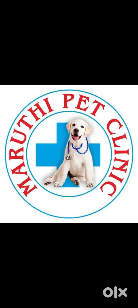 Maruthi pet clinic