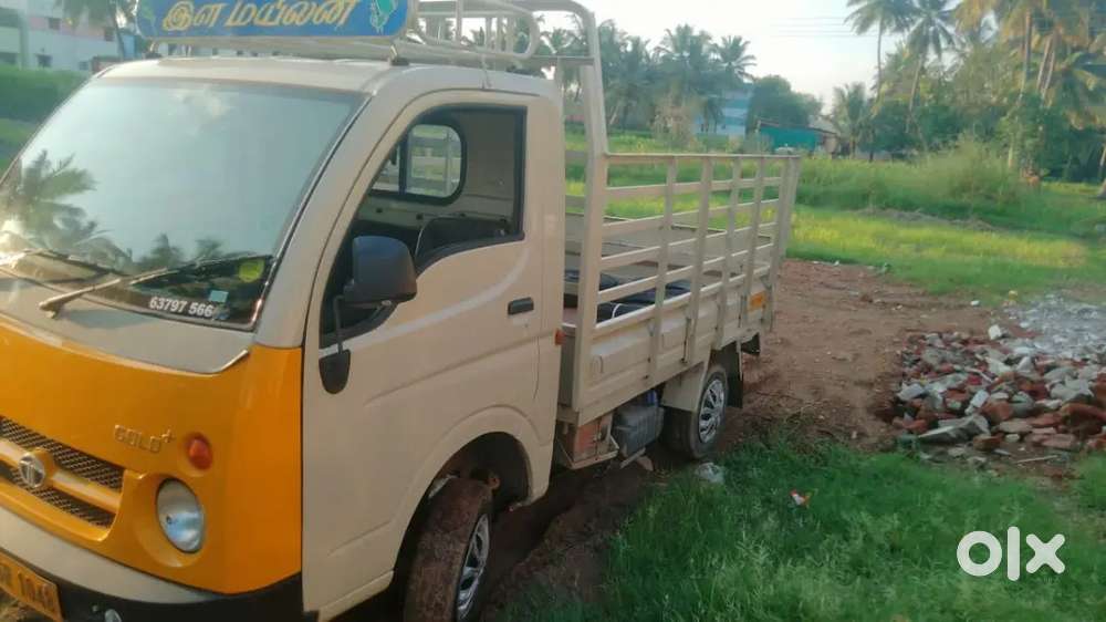 TATA Ace gold+