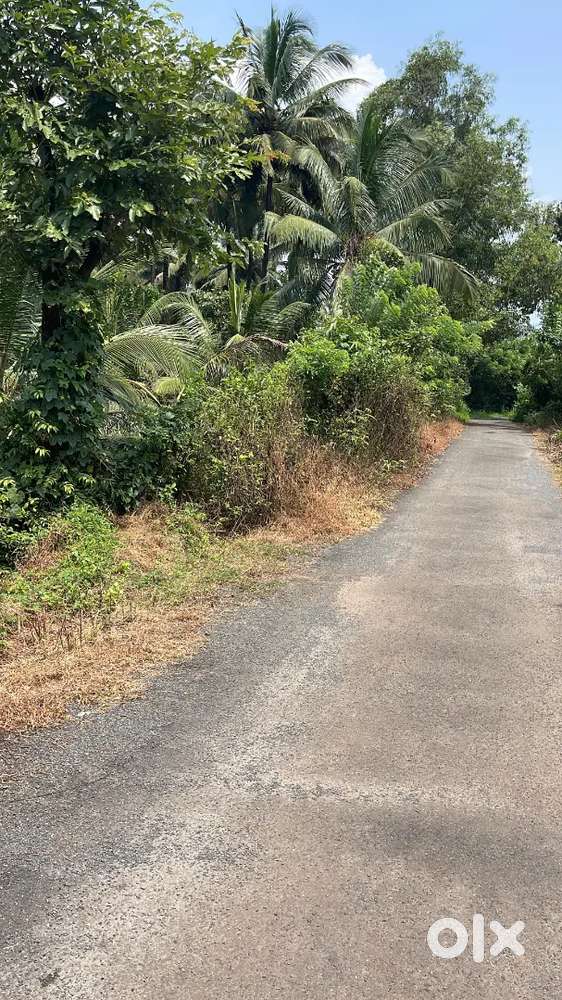Plot for sale with aprvd project of shops n flats@ponda