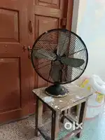 Table।Fan cinni