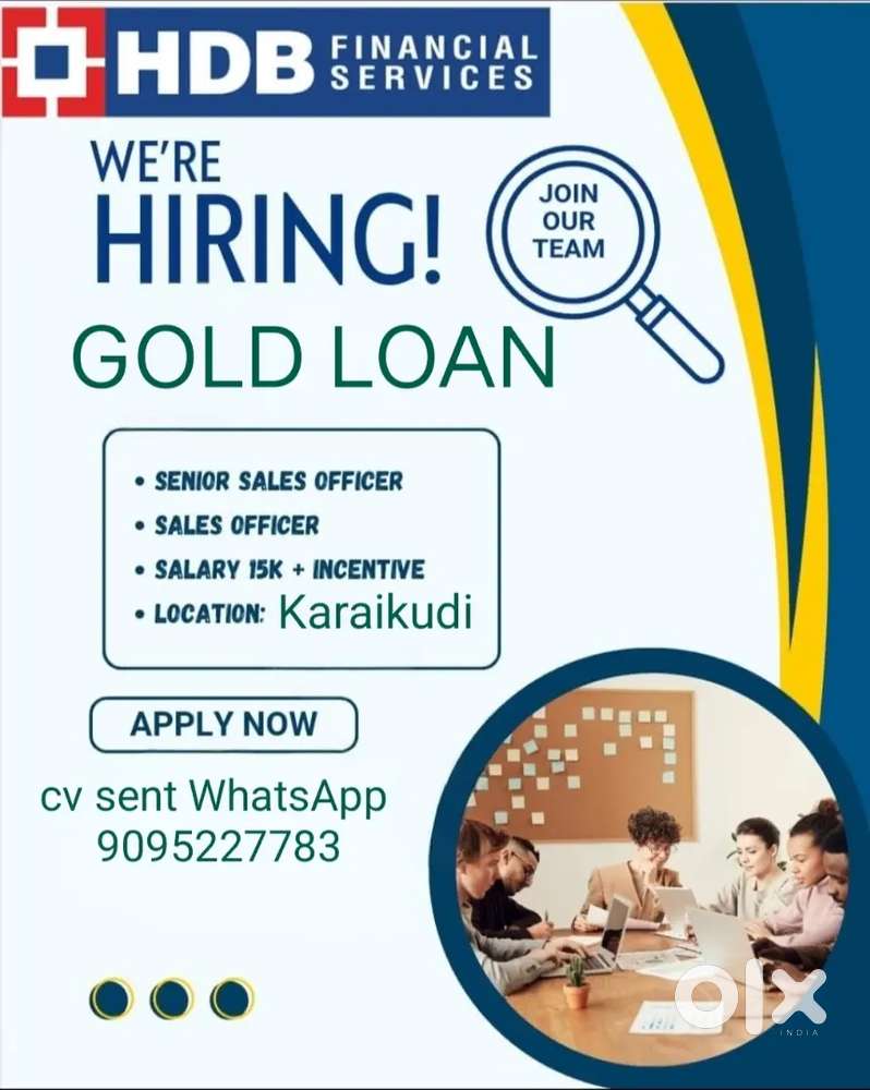 Hdb financial services ltd