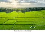 Plot available in near puri NH