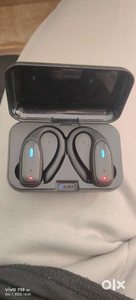 PTRON earbuds