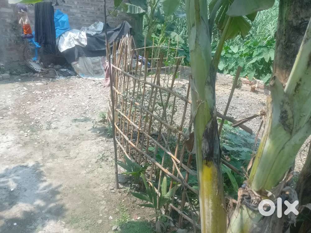 সোদপুর রোড মুড়াগাছা মেন রোড থেকে পায়ে হেঁটে ৪/৫ মিনিট ,