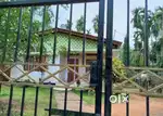 2kotha aksoniya