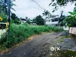 17 Cent Kalamassery Companipady House Plot Tar Road Frontage