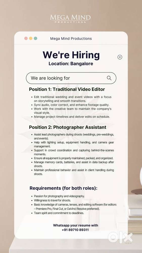 Photographer Assistant