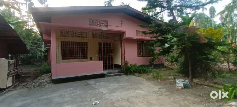 Assam type house