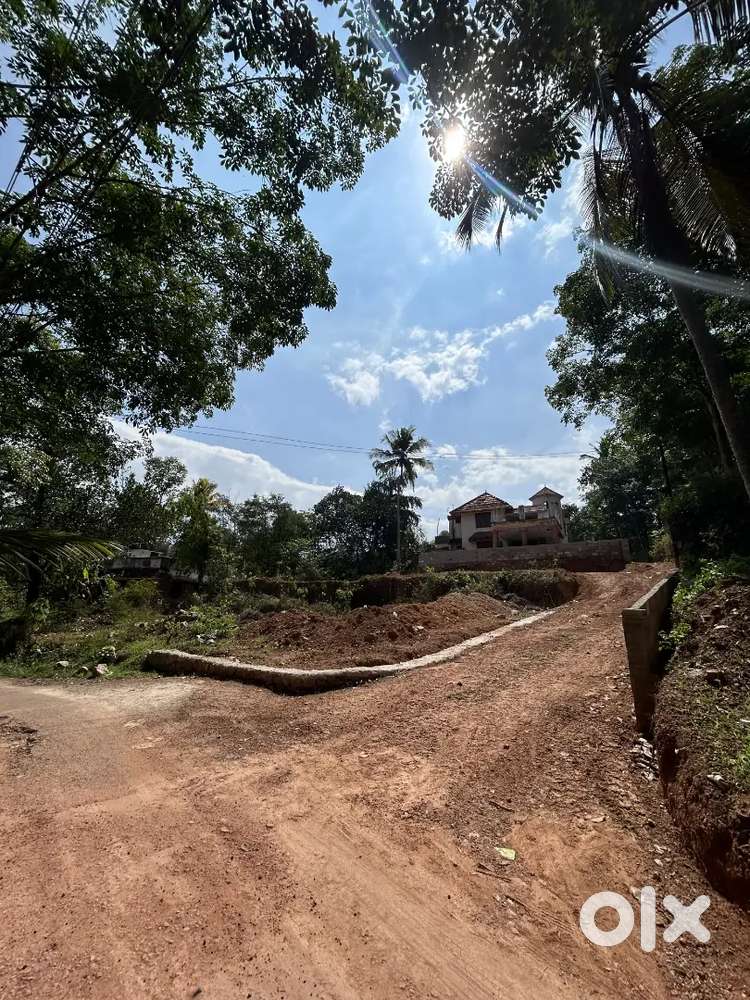 55 cent with 5 bhk house for sale near PULIPPARA