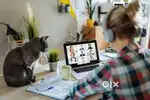 Online Work From Home