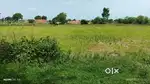 agriculture land for sale 2 acres