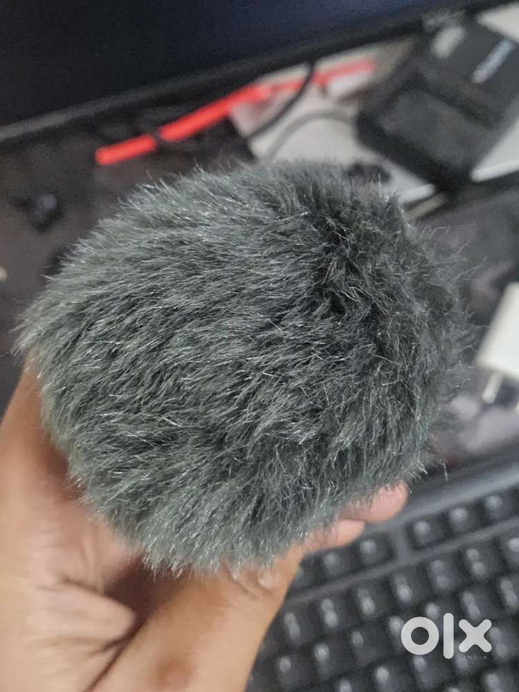 Microphone