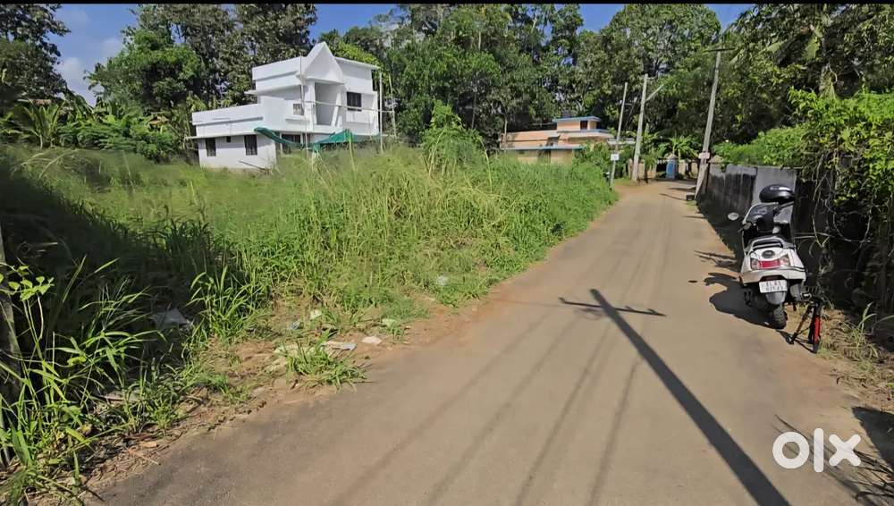 Nedumbassery near athani 11 cent house plot for sale immediately