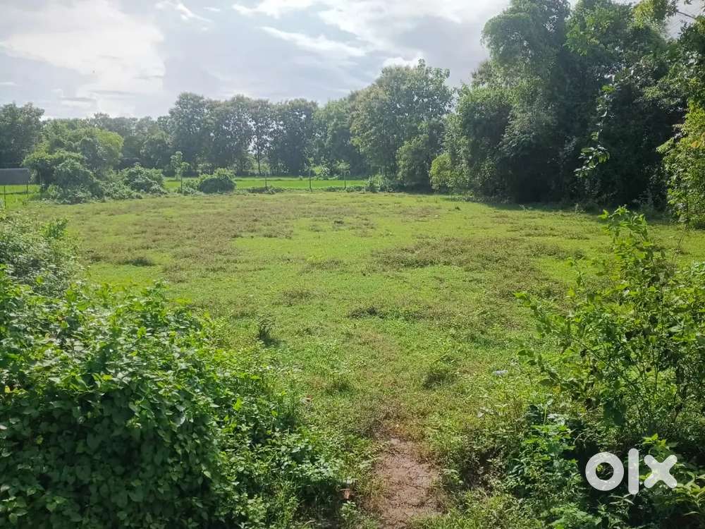 Land at Athagarh for Sale