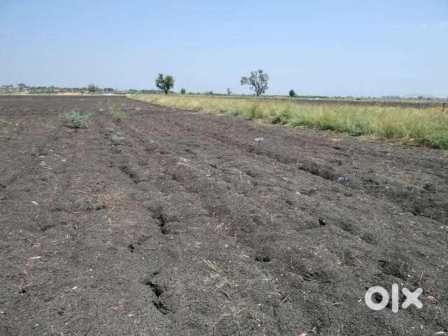 1.5 Acre Farm land