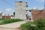 Fully Developed Society plots