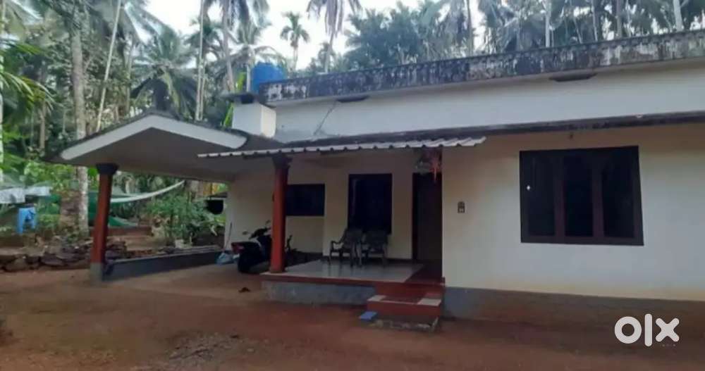 3BHK House + 60 Cent Land @ ₹ 44 Lakhs  Near Parappa Town