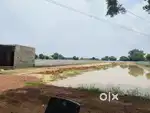 29 feet wide road, rcc road, electrified, plantation