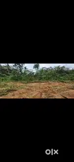43cent plain plot for rent