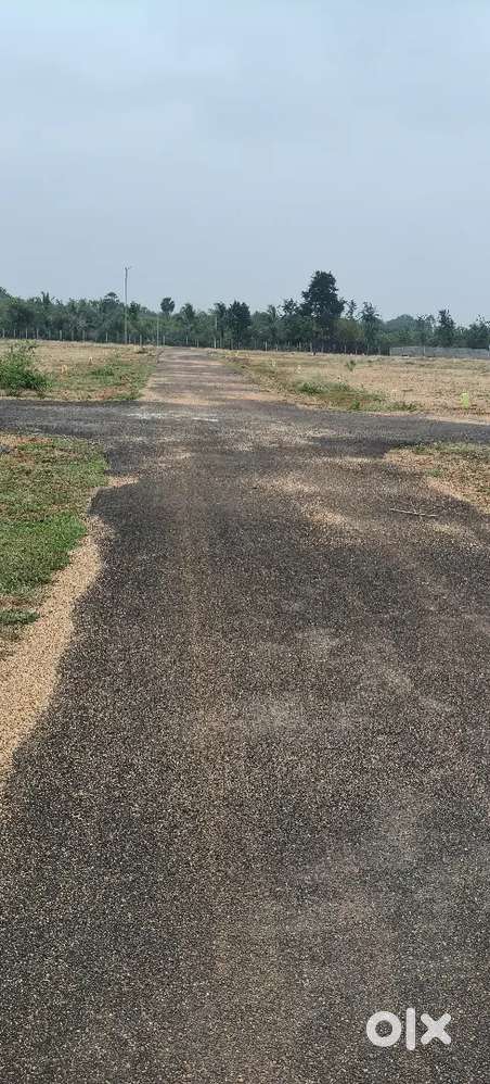 Dtcp Investment land in karaikudi managiri