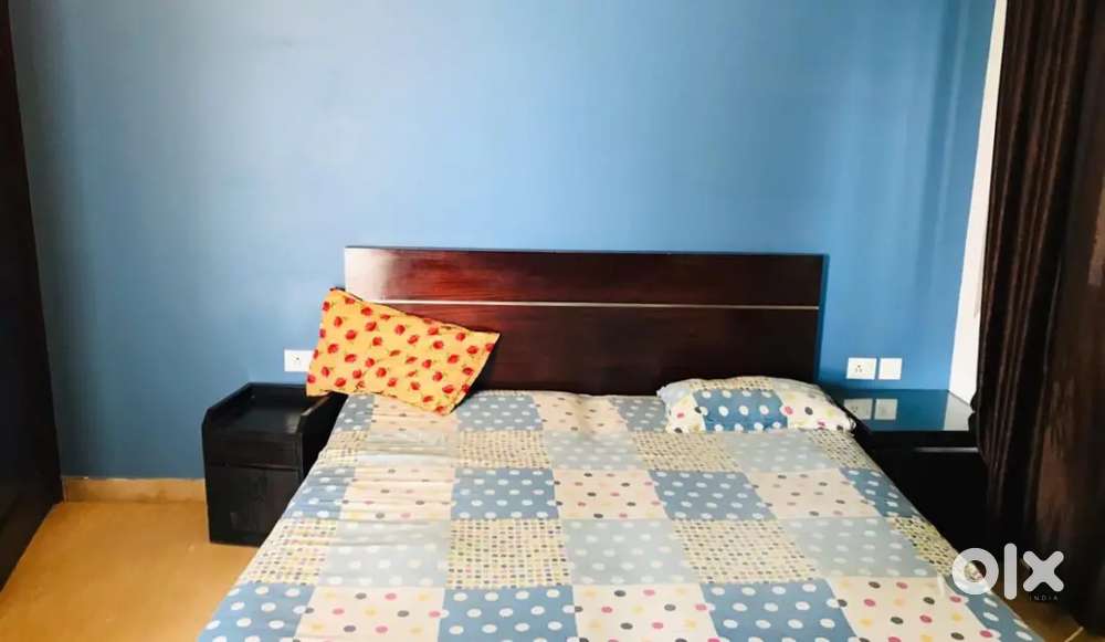 NO BROKERAGE 500+ Deluxe Boys PGs with meals & amenities in Noida!