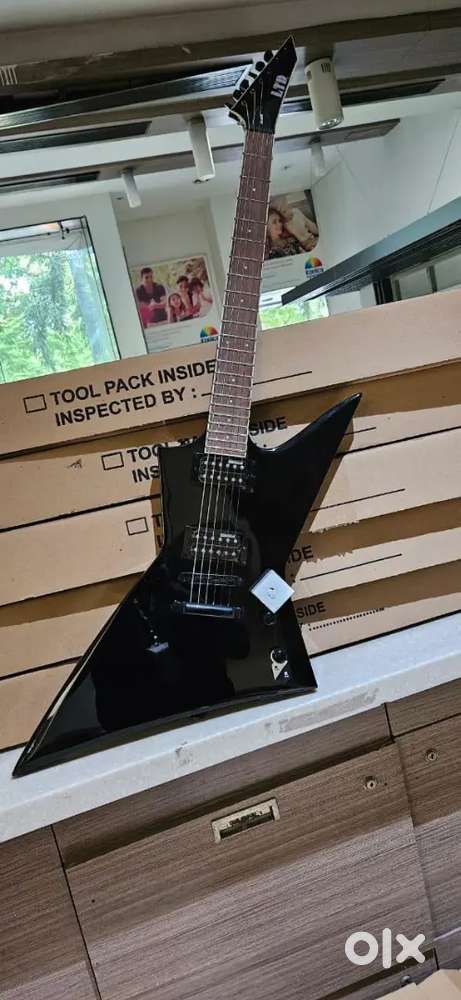 Electric Guitar